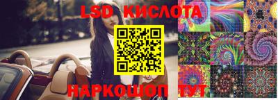стаф Берёзовский