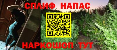 Альфа ПВП Беслан
